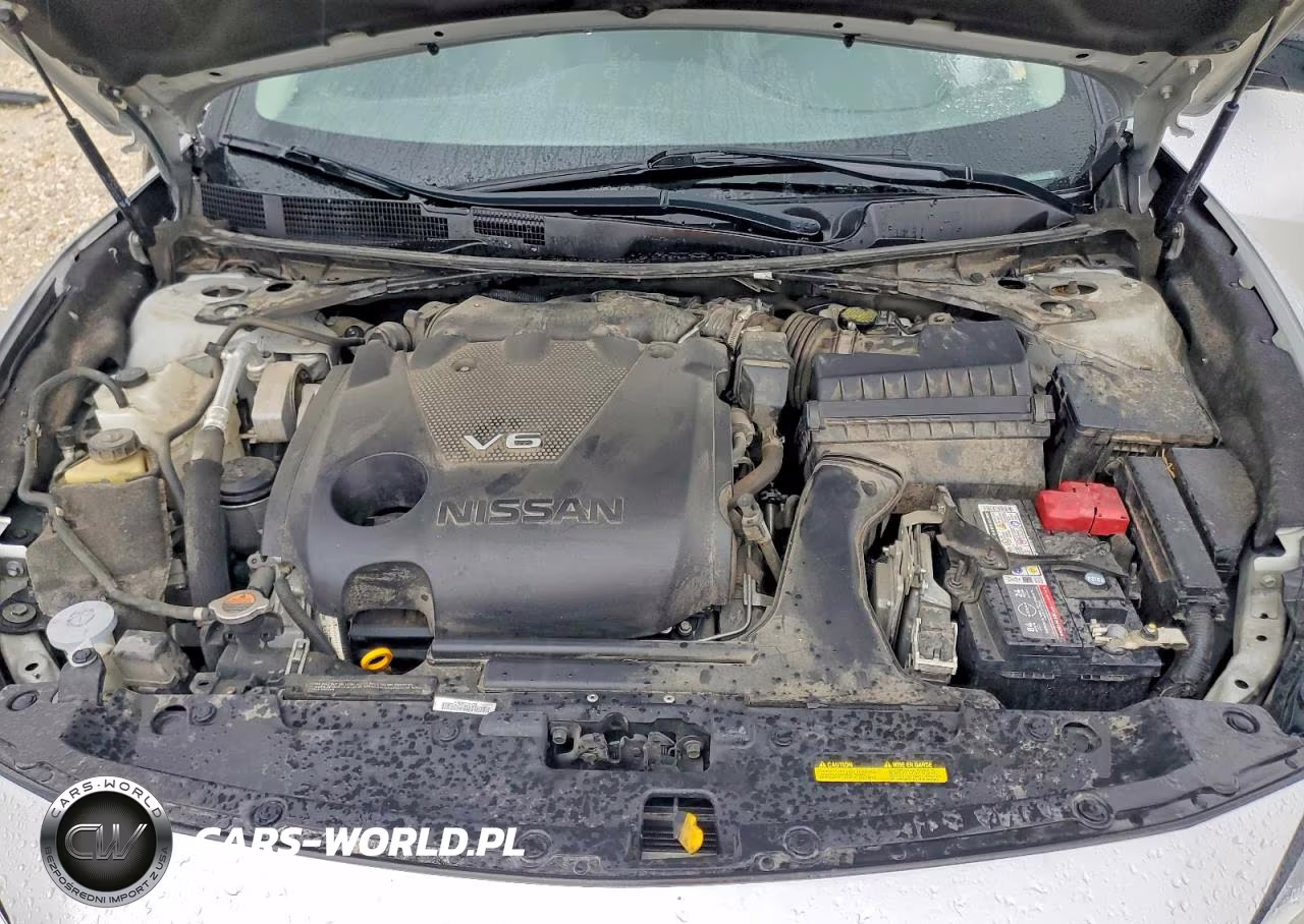 2020 Nissan Maxima Sl VIN:1N4AA6DV1LC373020 - 11