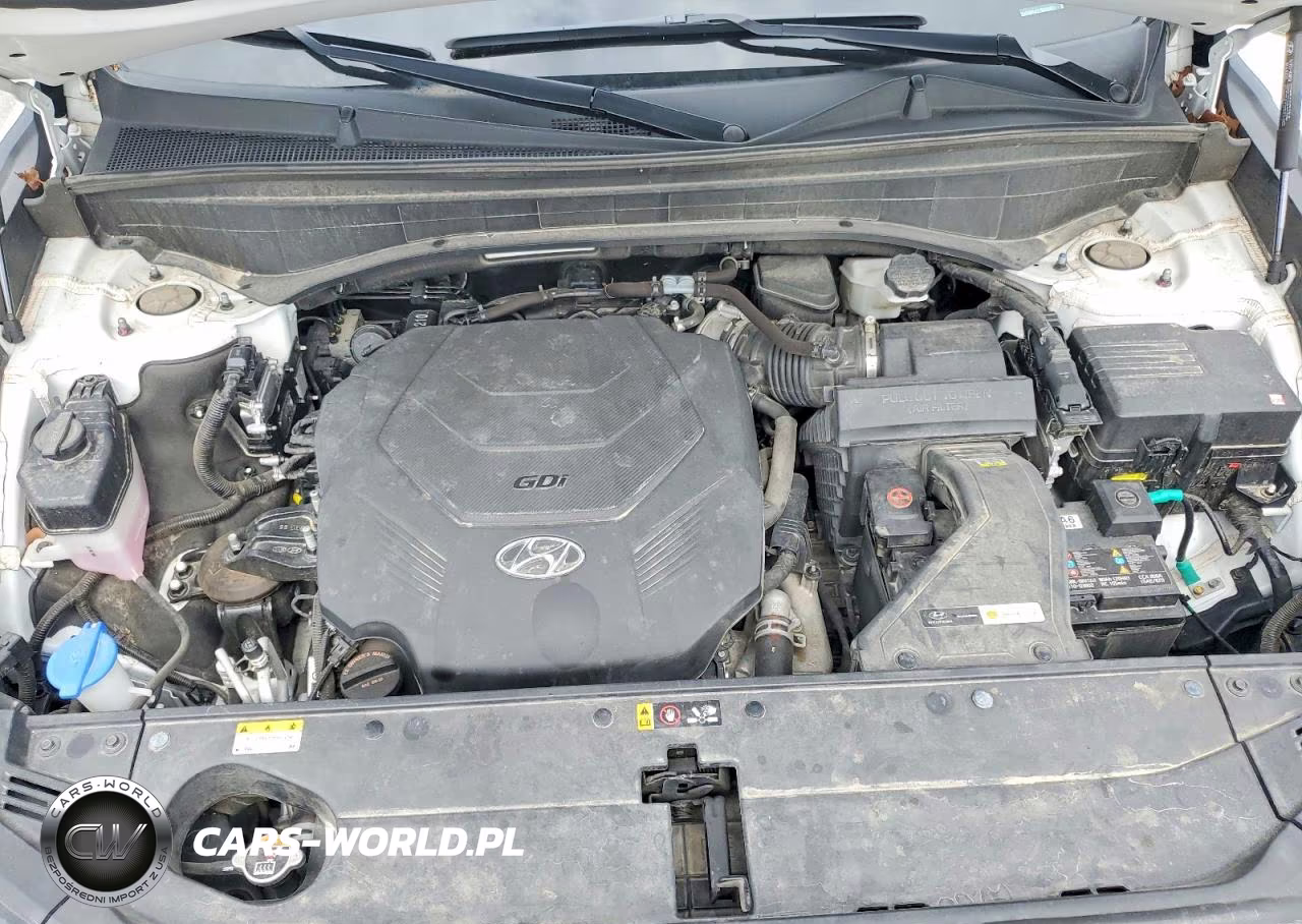 2024 Hyundai Palisade Limited VIN:KM8R54GE7RU696861 - 12