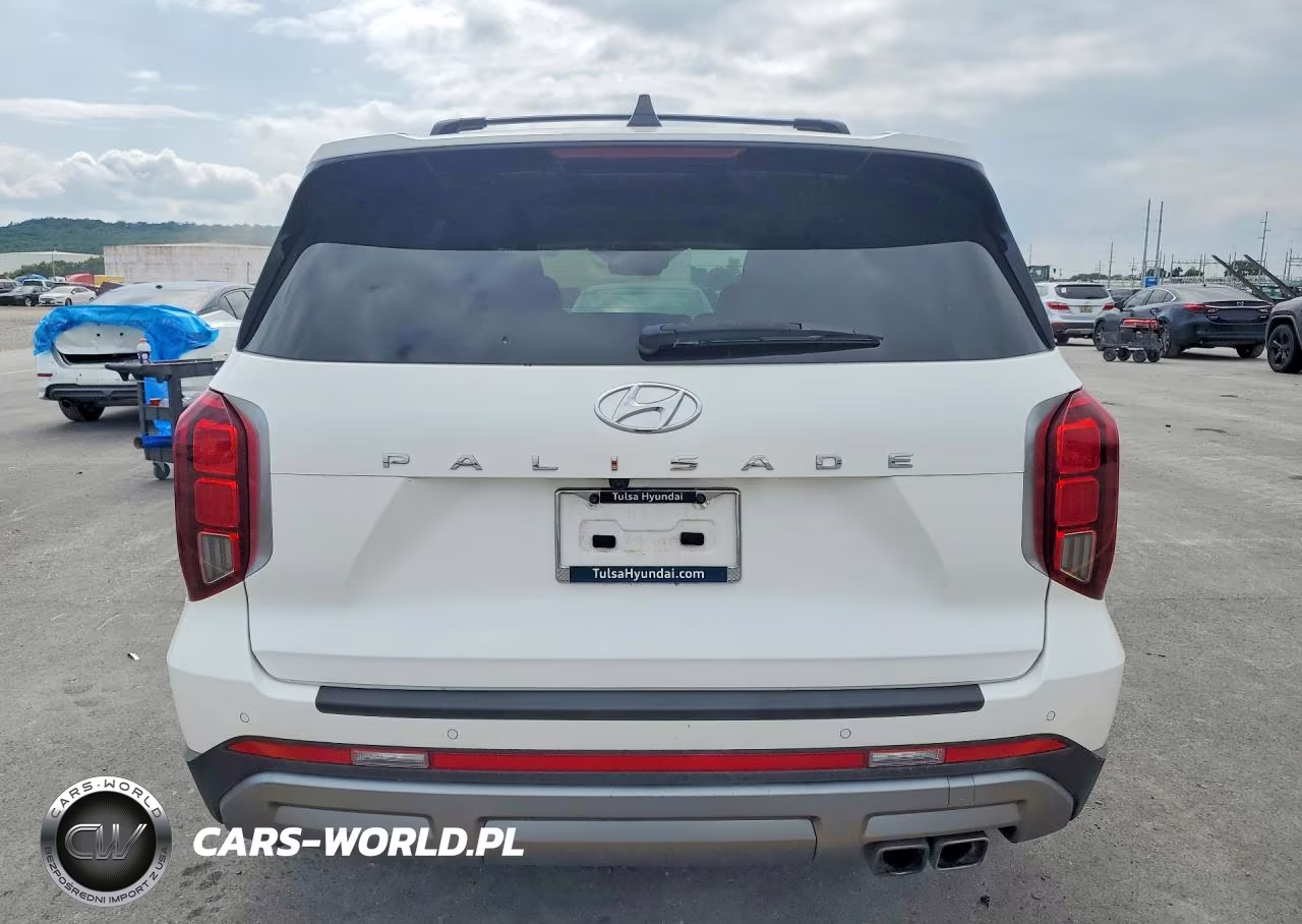 2024 Hyundai Palisade Limited VIN:KM8R54GE7RU696861 - 6