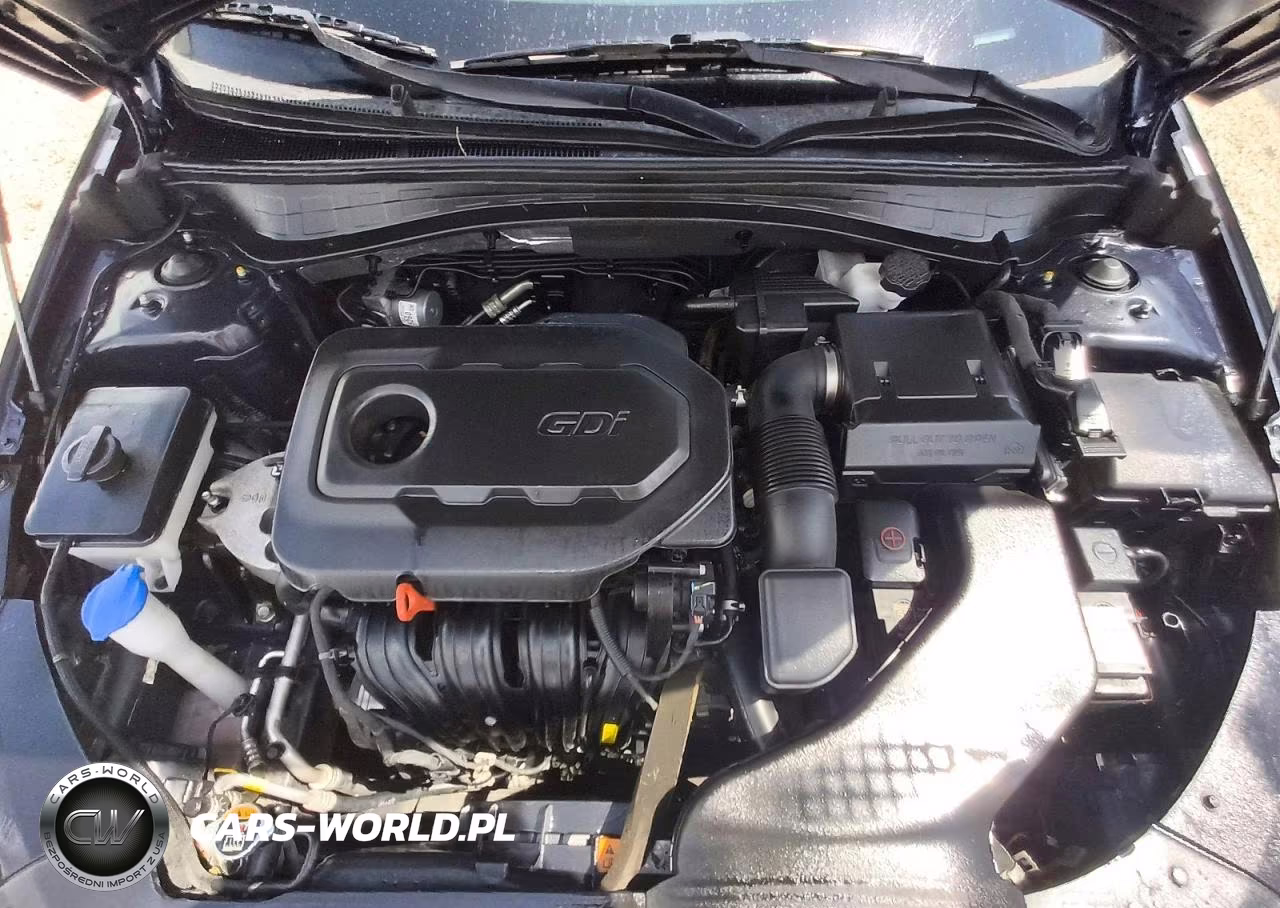 2019 Kia Optima Lx VIN:5XXGT4L33KG356673 - 11