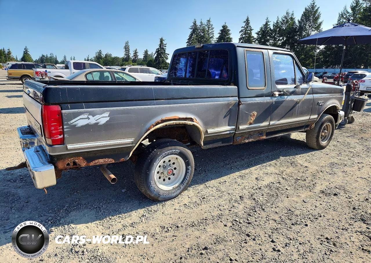 1993 Ford F150 VIN:1FTEX14N2PKB17915 - 3