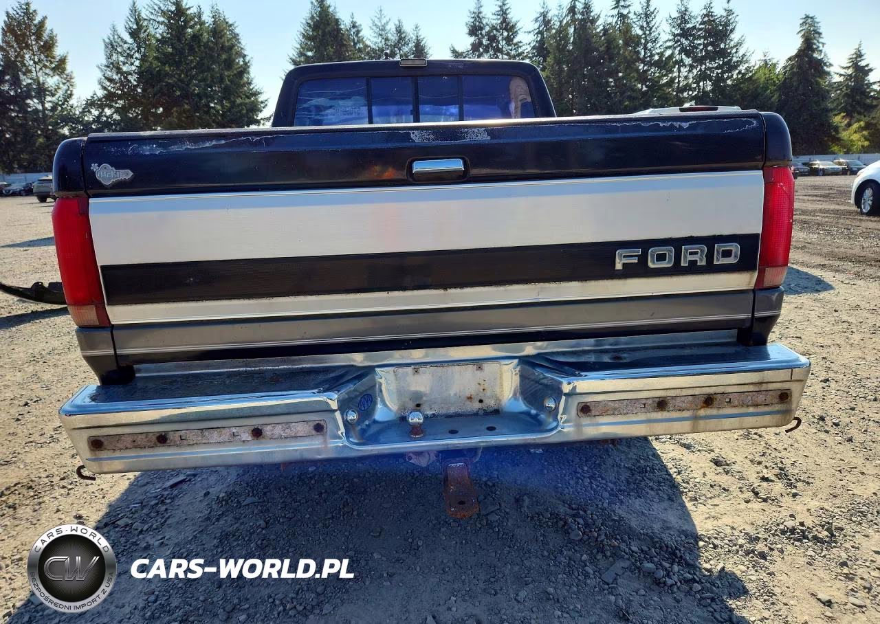 1993 Ford F150 VIN:1FTEX14N2PKB17915 - 6