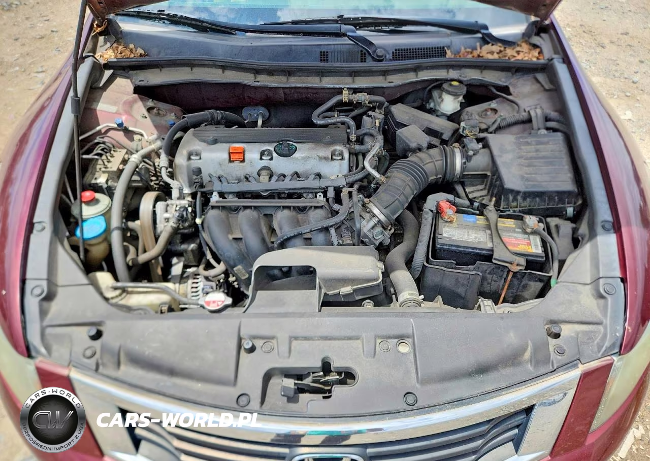 2010 Honda Accord Lxp VIN:1HGCP2F42AA097682 - 11