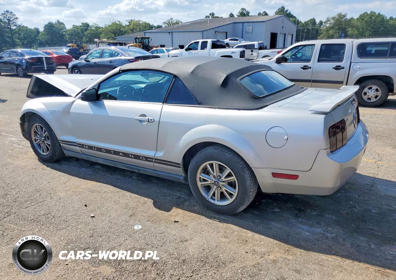2005 Ford Mustang VIN:1ZVFT84N355194469 - 2