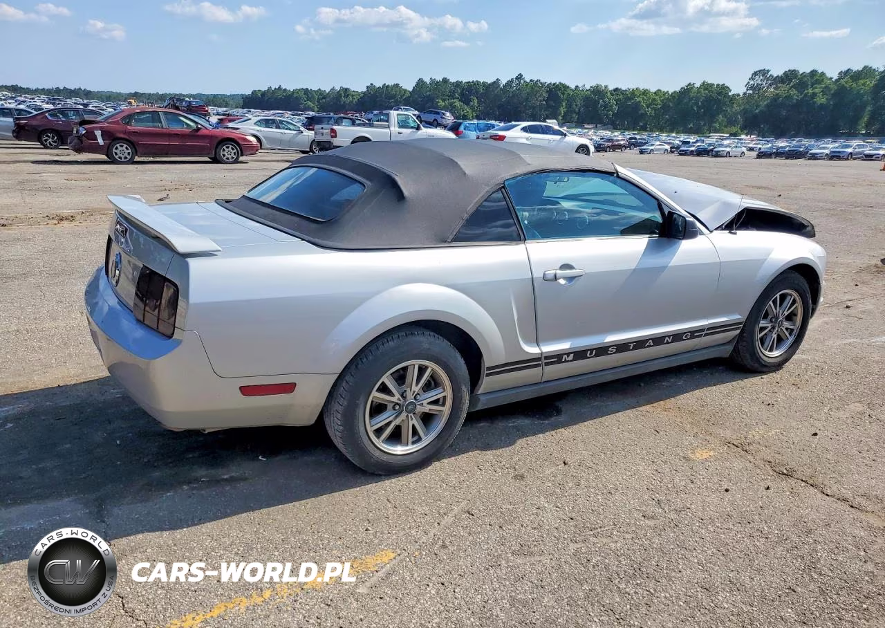 2005 Ford Mustang VIN:1ZVFT84N355194469 - 3