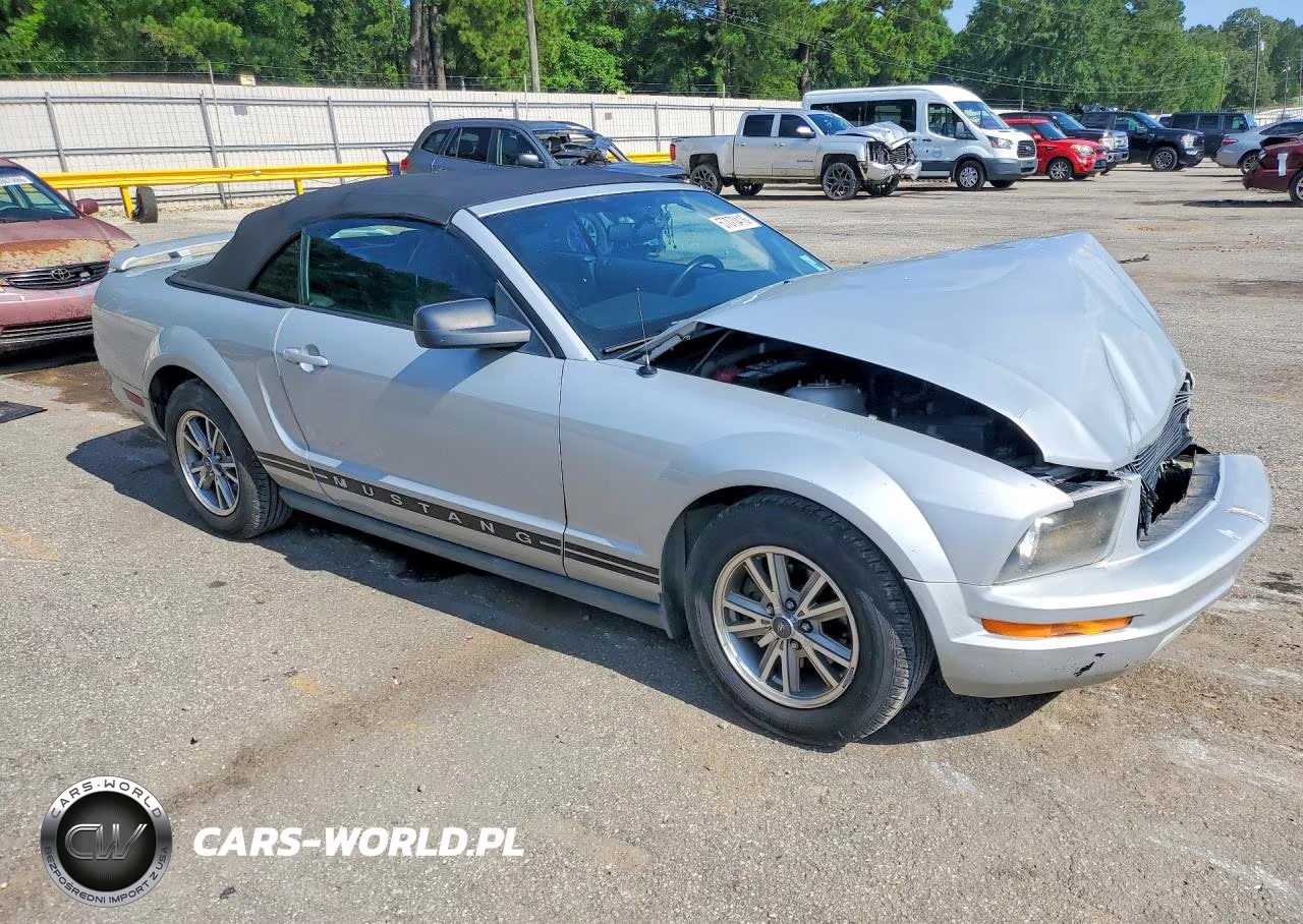 2005 Ford Mustang VIN:1ZVFT84N355194469 - 4
