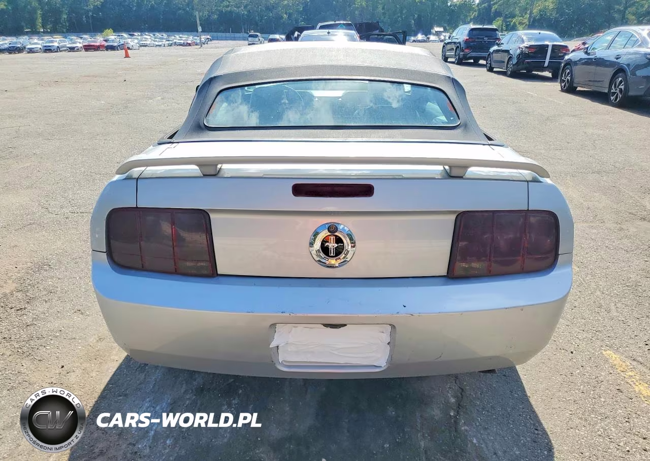 2005 Ford Mustang VIN:1ZVFT84N355194469 - 6