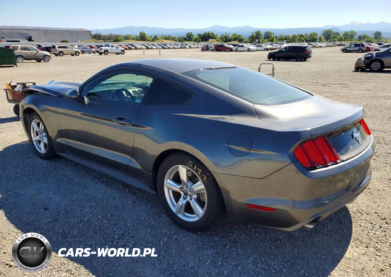 2015 Ford Mustang VIN:1FA6P8AM4F5343255 - 2