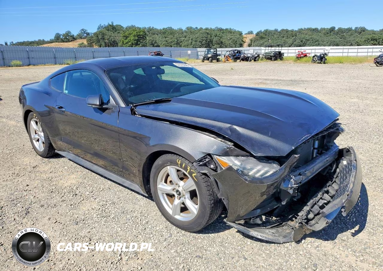 2015 Ford Mustang VIN:1FA6P8AM4F5343255 - 4
