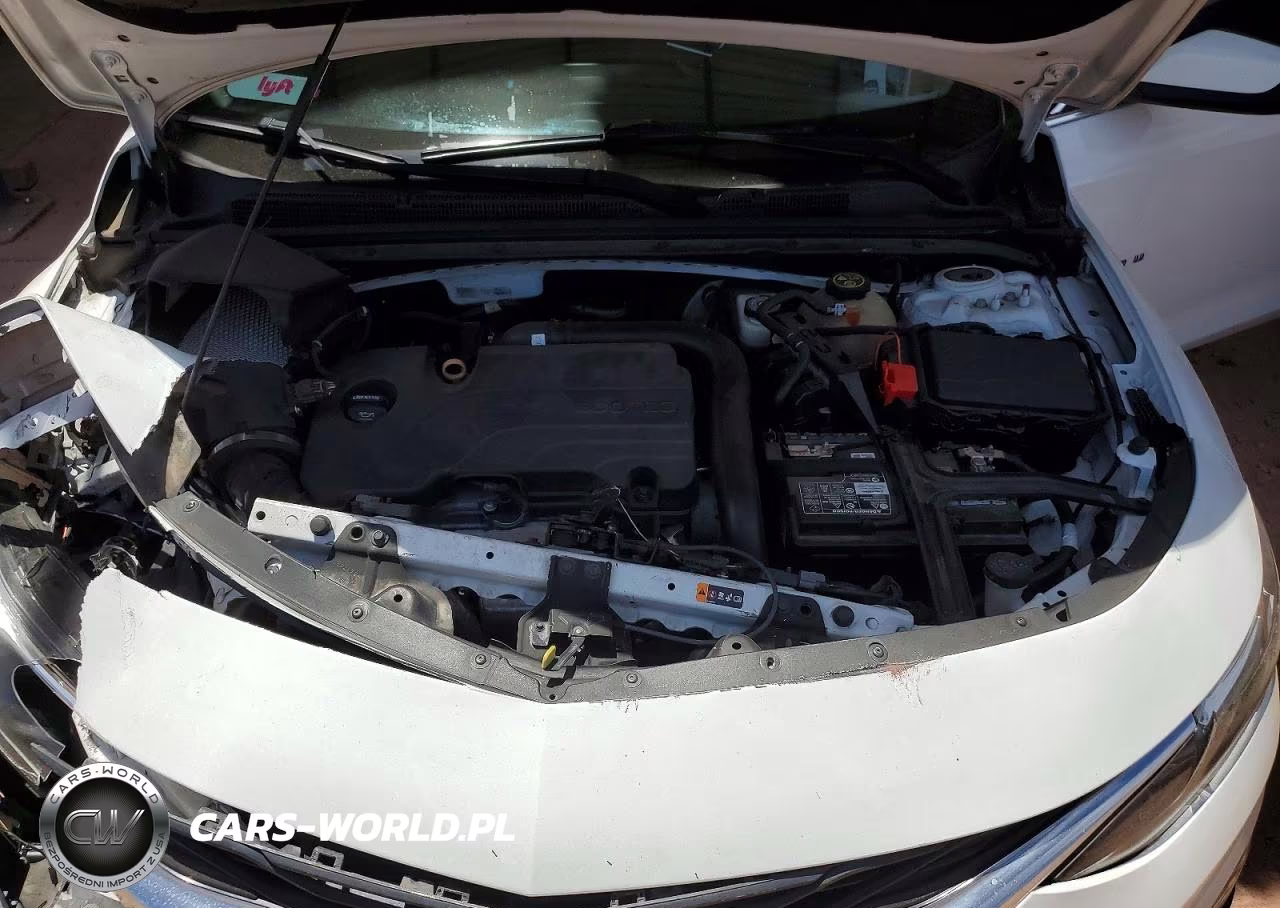 2019 Chevrolet Malibu Lt VIN:1G1ZD5STXKF187062 - 11