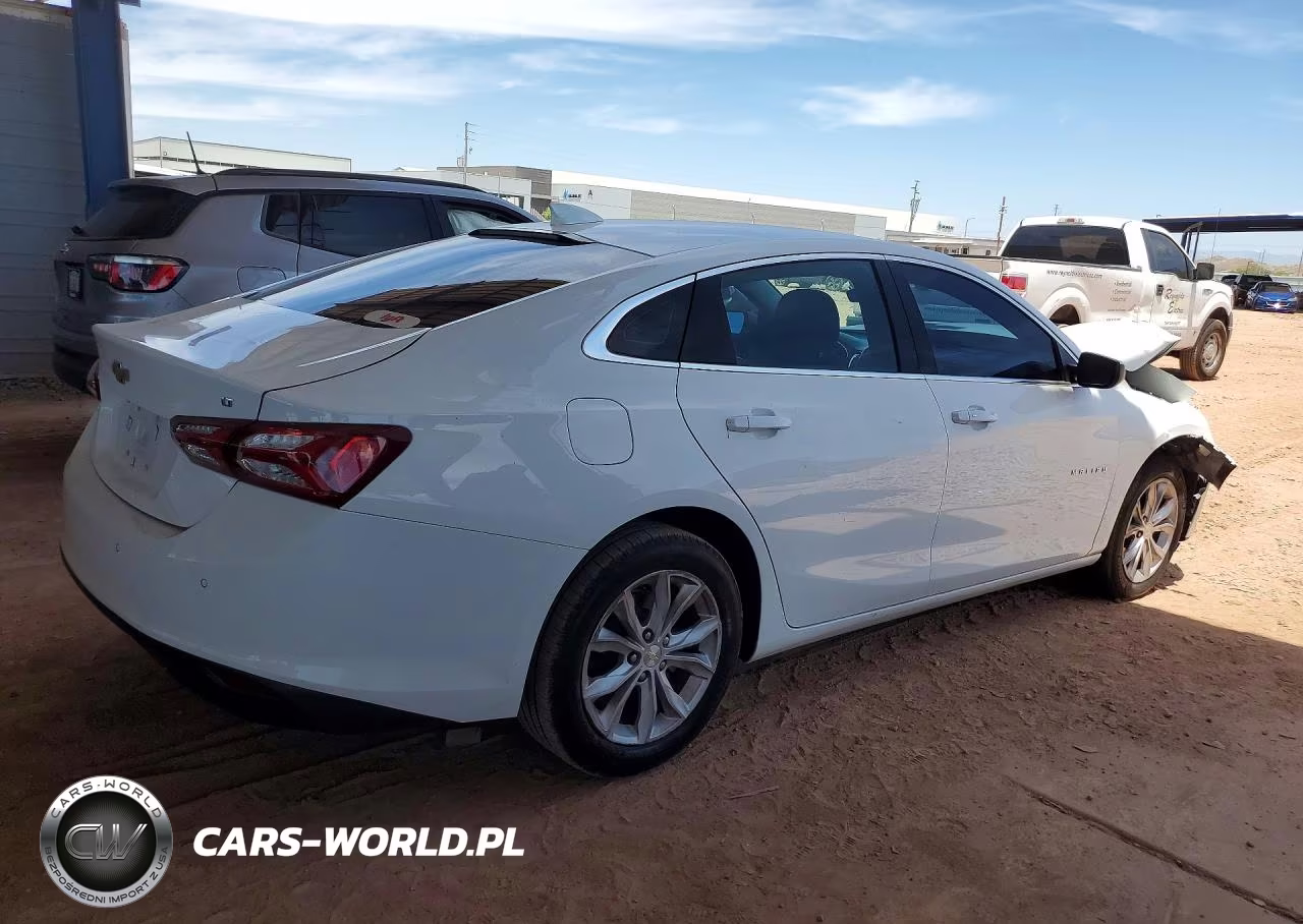 2019 Chevrolet Malibu Lt VIN:1G1ZD5STXKF187062 - 3