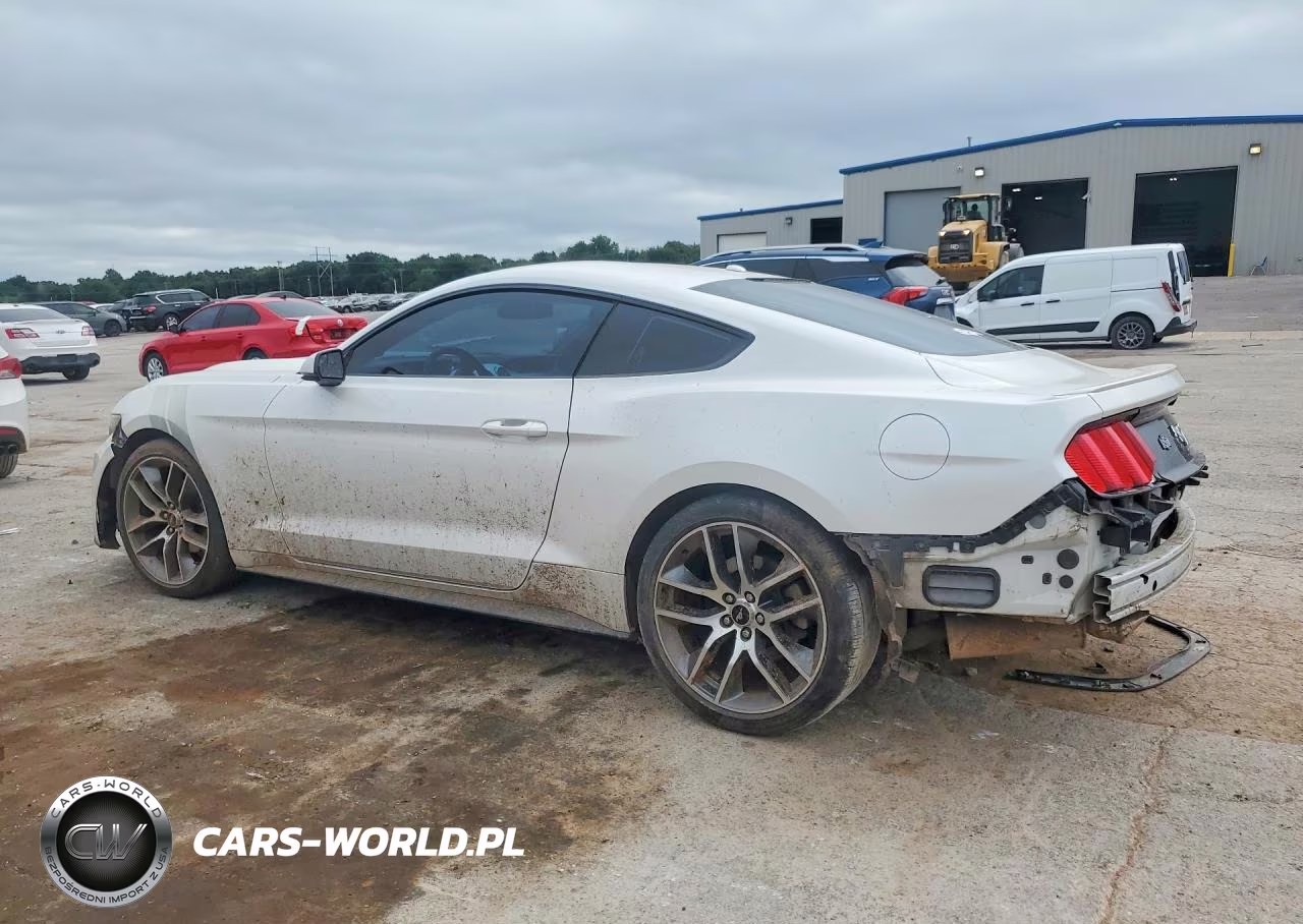 2017 Ford Mustang VIN:1FA6P8TH2H5203353 - 2
