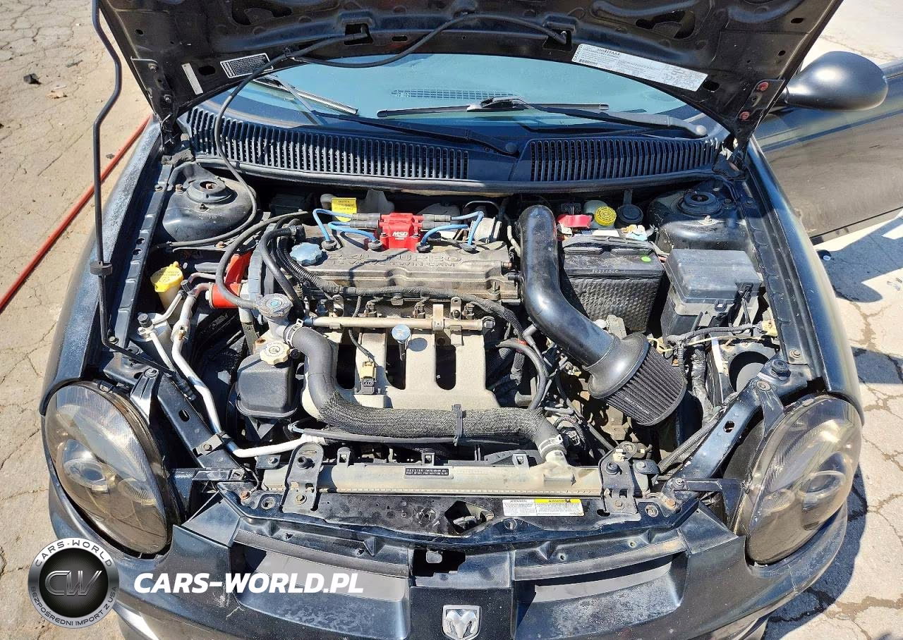 2004 Dodge Neon Srt-4 VIN:1B3ES66S54D501543 - 11