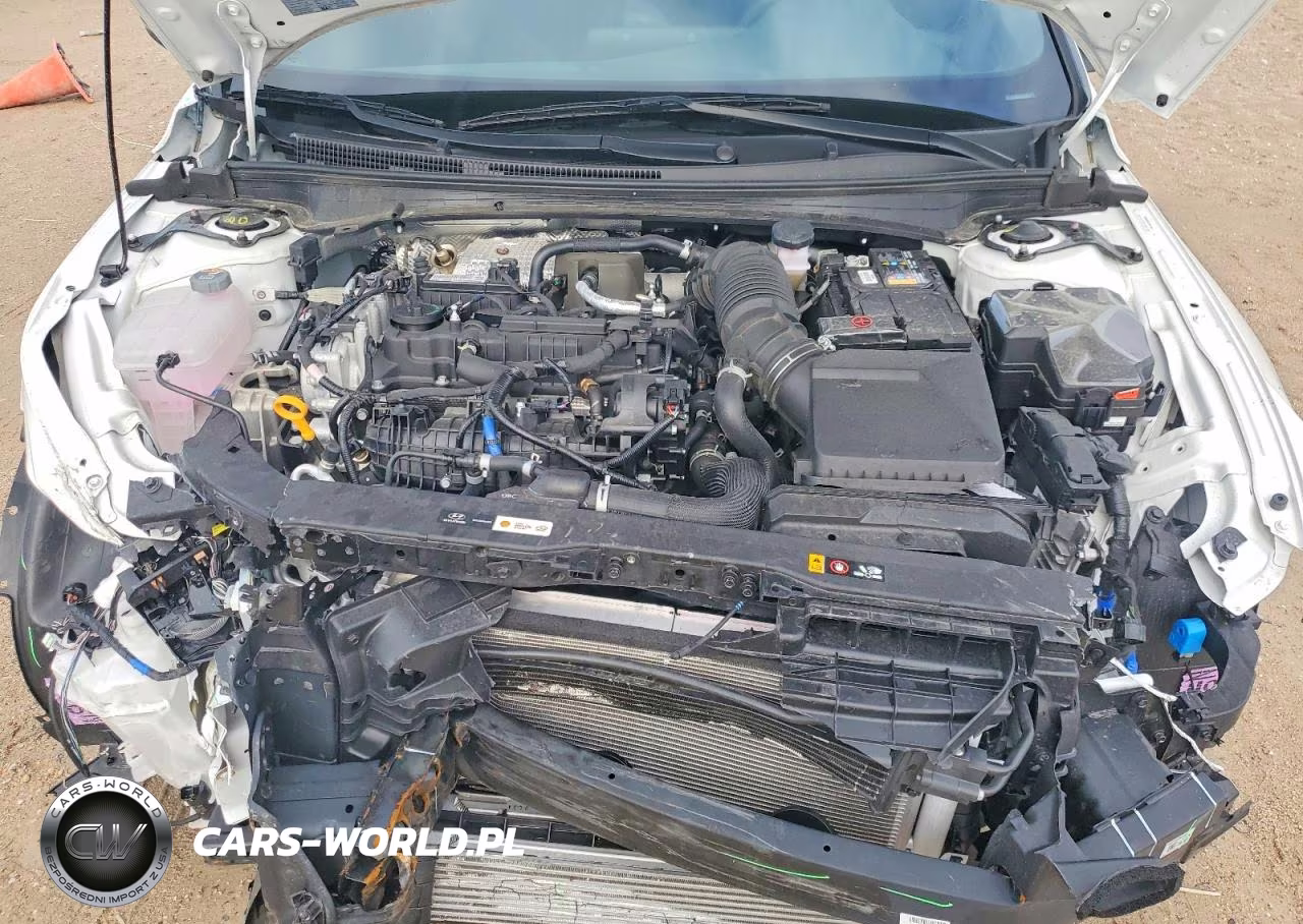 2025 Hyundai Elantra N Base VIN:KMHLW4DK3SU030650 - 11