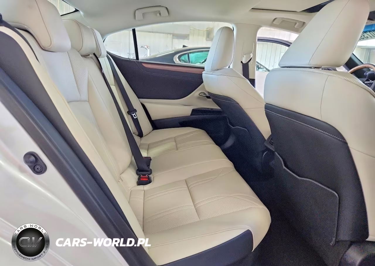 2024 Lexus Es 300H Luxury VIN:58AEA1C11RU054091 - 10
