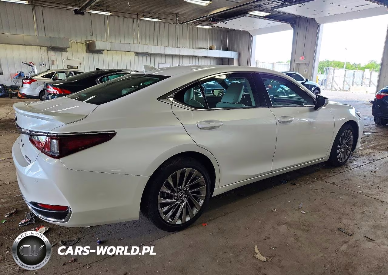 2024 Lexus Es 300H Luxury VIN:58AEA1C11RU054091 - 3