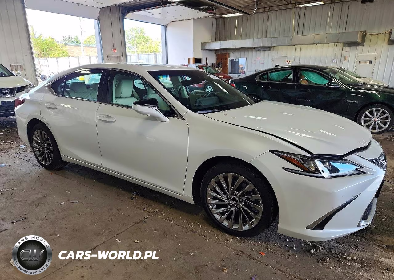 2024 Lexus Es 300H Luxury VIN:58AEA1C11RU054091 - 4