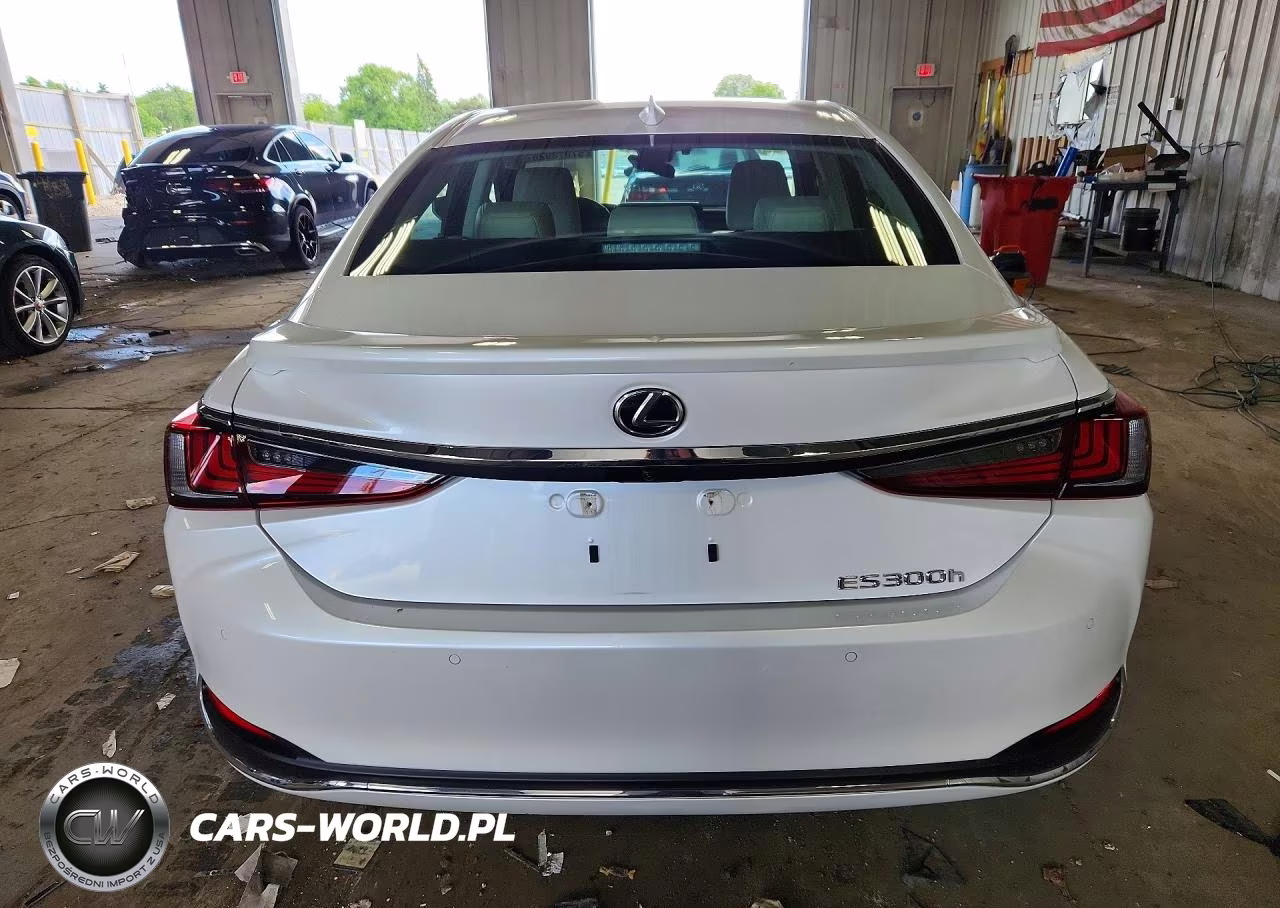 2024 Lexus Es 300H Luxury VIN:58AEA1C11RU054091 - 6
