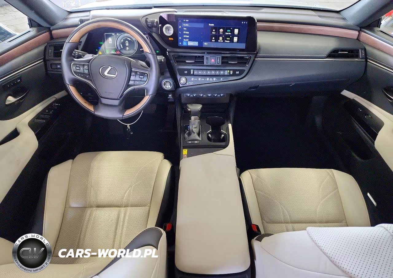 2024 Lexus Es 300H Luxury VIN:58AEA1C11RU054091 - 8