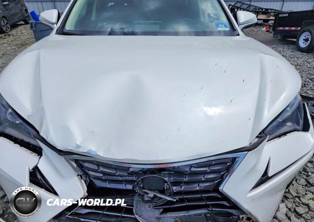 2019 Lexus Nx 300 Base VIN:JTJBARBZ2K2193469 - 12