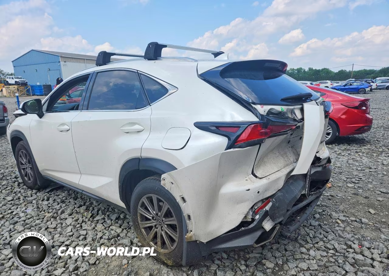 2019 Lexus Nx 300 Base VIN:JTJBARBZ2K2193469 - 2