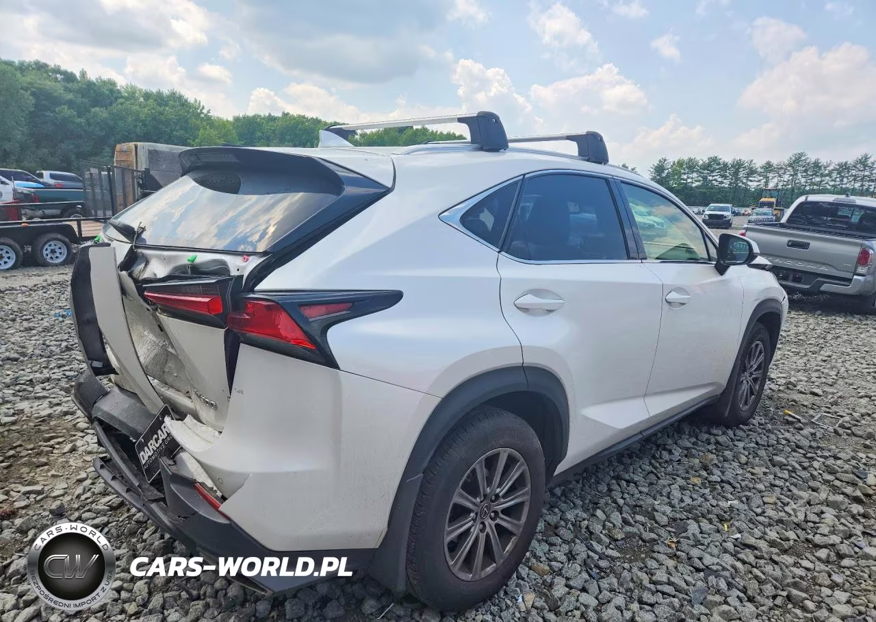 2019 Lexus Nx 300 Base VIN:JTJBARBZ2K2193469 - 3