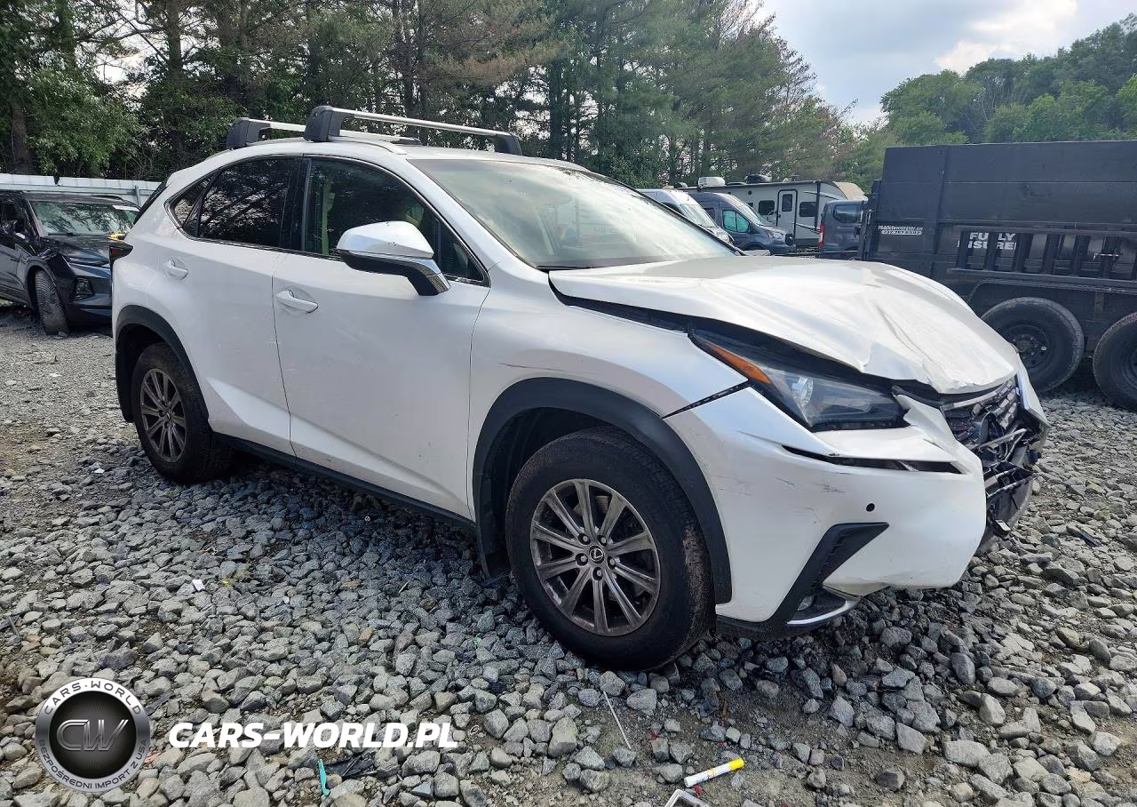 2019 Lexus Nx 300 Base VIN:JTJBARBZ2K2193469 - 4