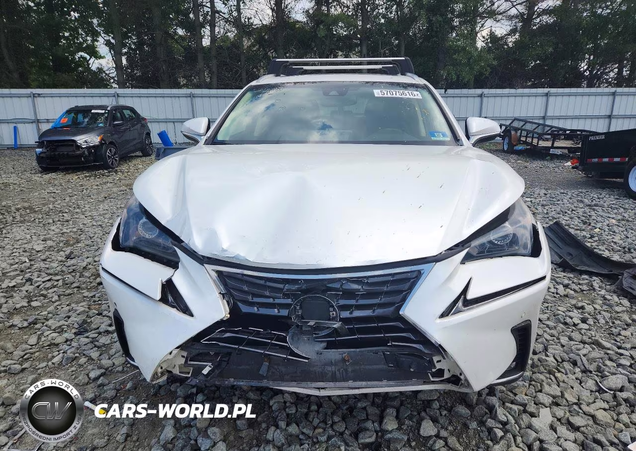 2019 Lexus Nx 300 Base VIN:JTJBARBZ2K2193469 - 5