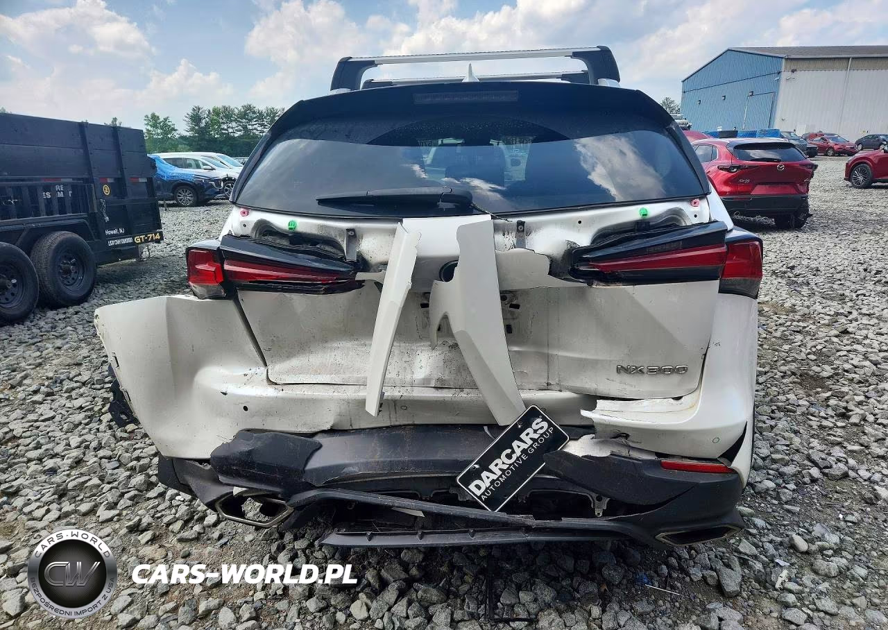 2019 Lexus Nx 300 Base VIN:JTJBARBZ2K2193469 - 6