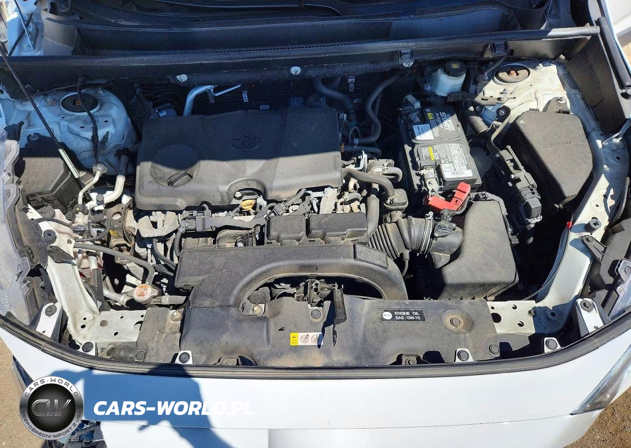 2020 Toyota Rav4 Xle VIN:2T3P1RFV4LC083890 - 11