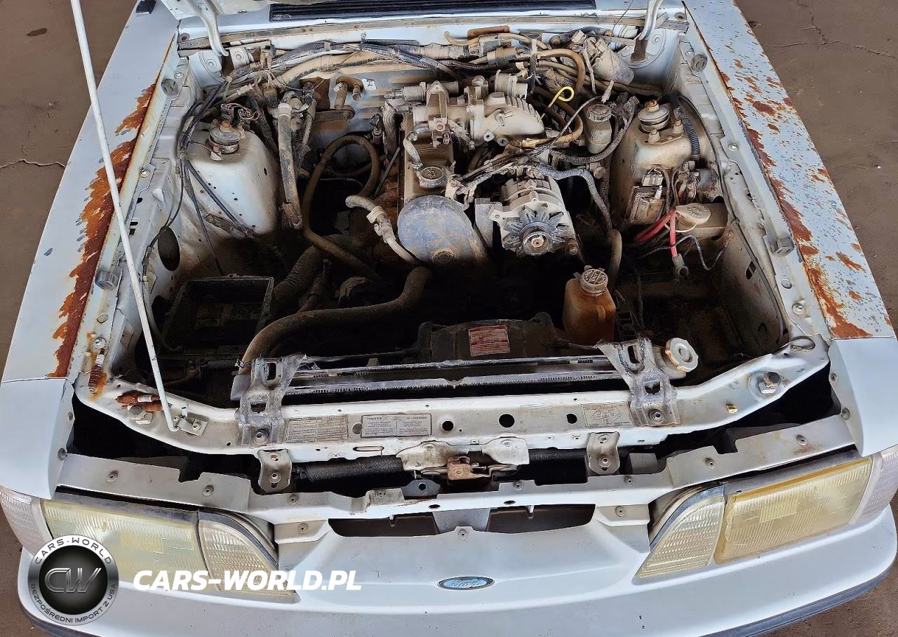 1989 Ford Mustang VIN:1FABP41A3KF223951 - 11