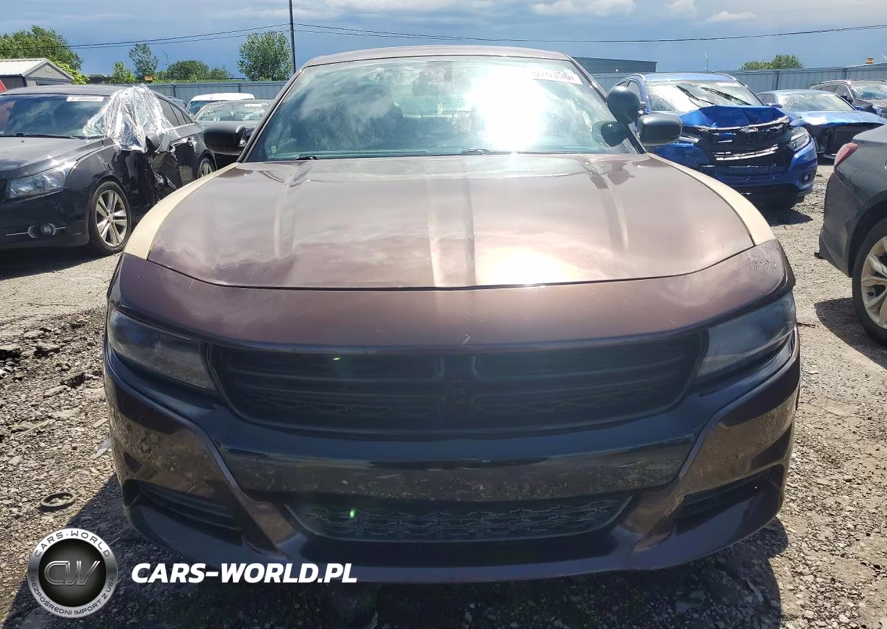 2016 Dodge Charger Police VIN:2C3CDXKT4GH247873 - 5