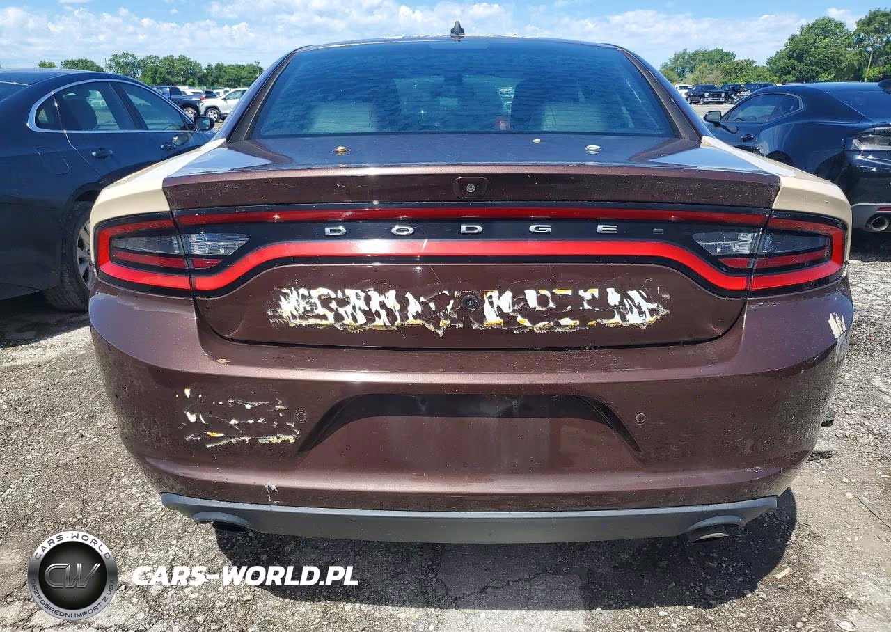 2016 Dodge Charger Police VIN:2C3CDXKT4GH247873 - 6