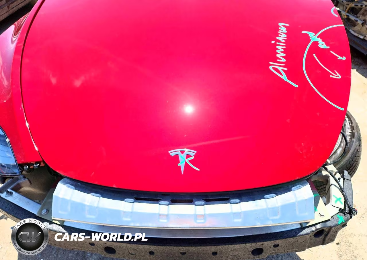 2024 Tesla Model Y VIN:7SAYGAEE1RF168028 - 12