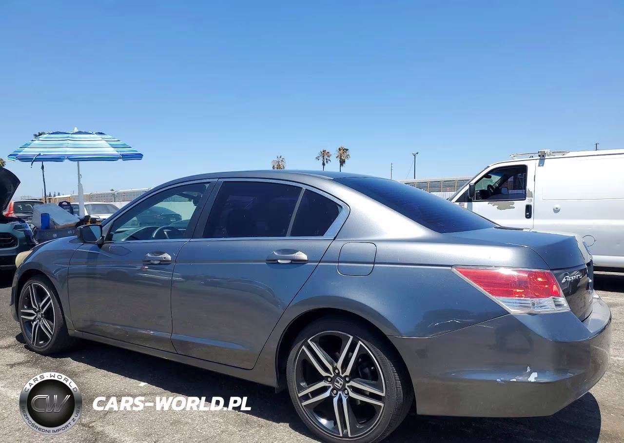 2010 Honda Accord Lx VIN:1HGCP2E38AA132489 - 2