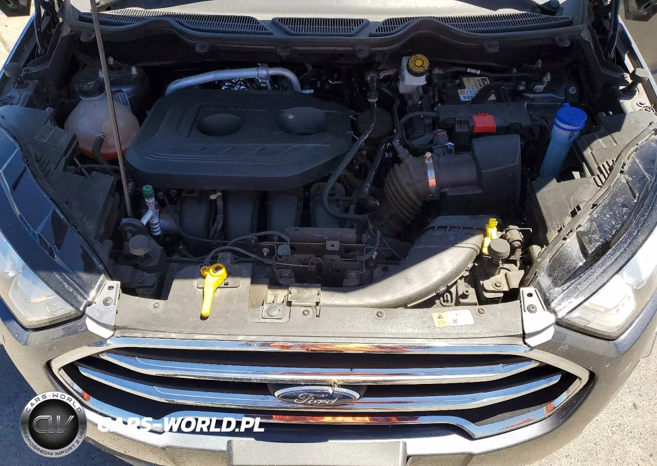 2018 Ford Ecosport Titanium VIN:MAJ6P1WL4JC243474 - 12