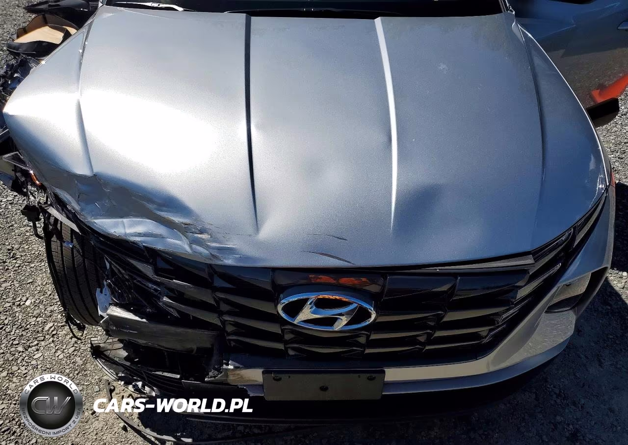 2023 Hyundai Tucson Sel VIN:5NMJFCAE5PH168922 - 12