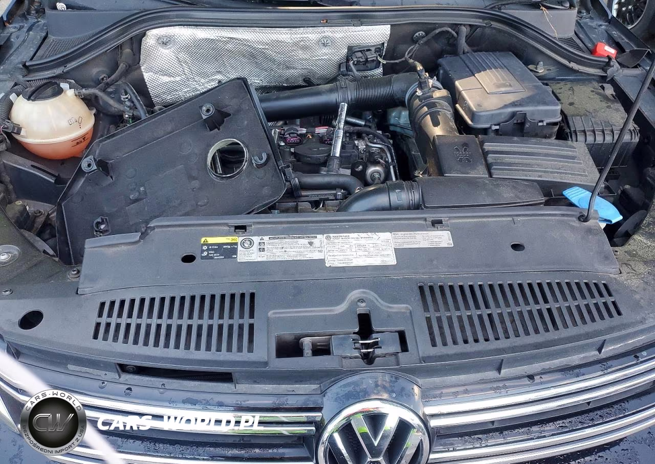 2015 Volkswagen Tiguan S VIN:WVGAV7AXXFW614663 - 11