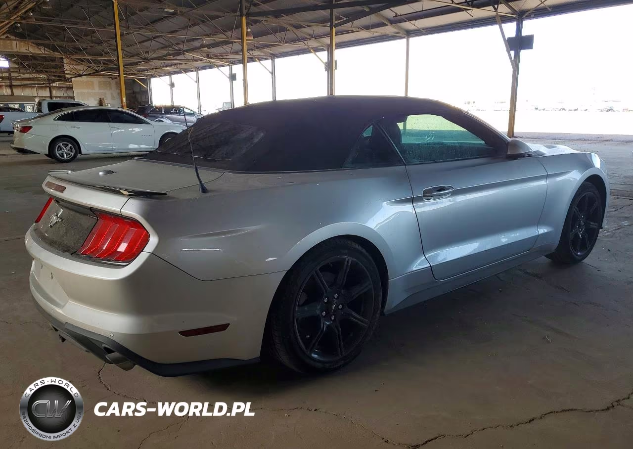 2019 Ford Mustang VIN:1FATP8UH4K5170011 - 3