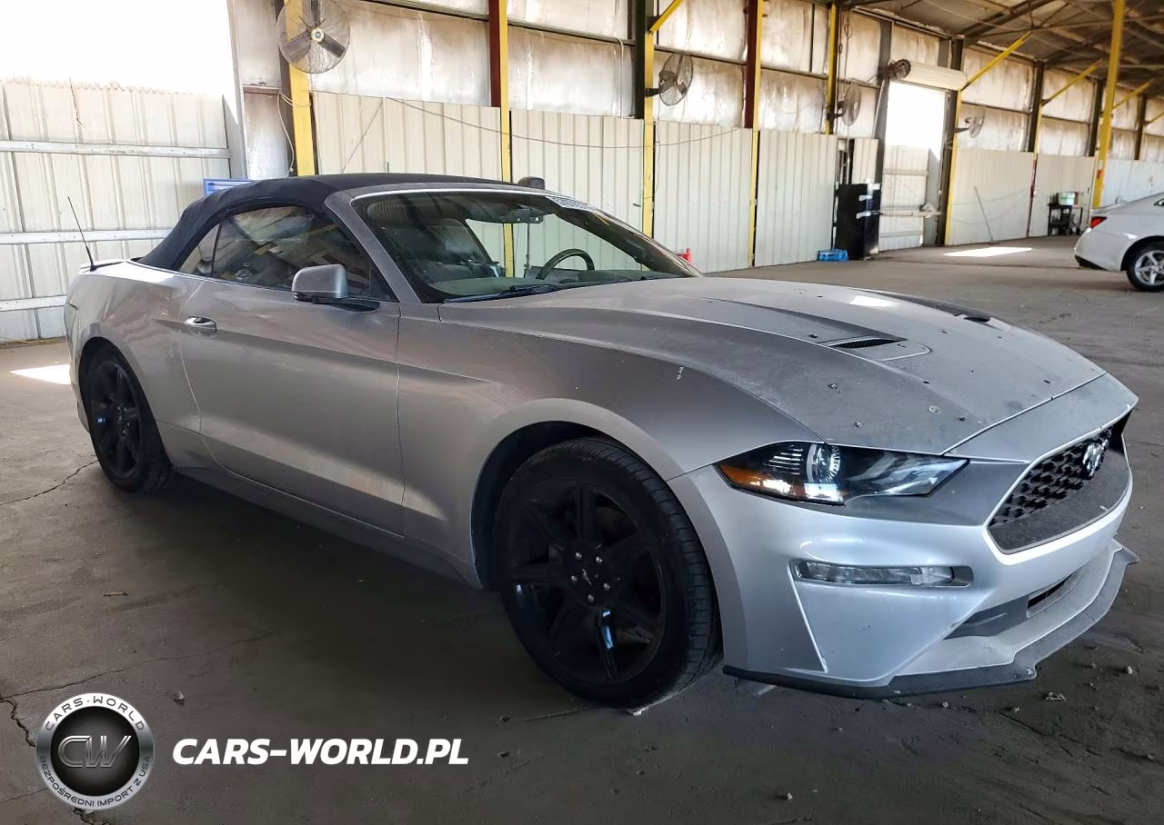 2019 Ford Mustang VIN:1FATP8UH4K5170011 - 4