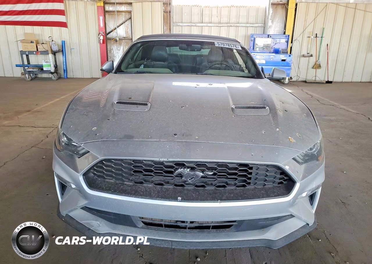 2019 Ford Mustang VIN:1FATP8UH4K5170011 - 5