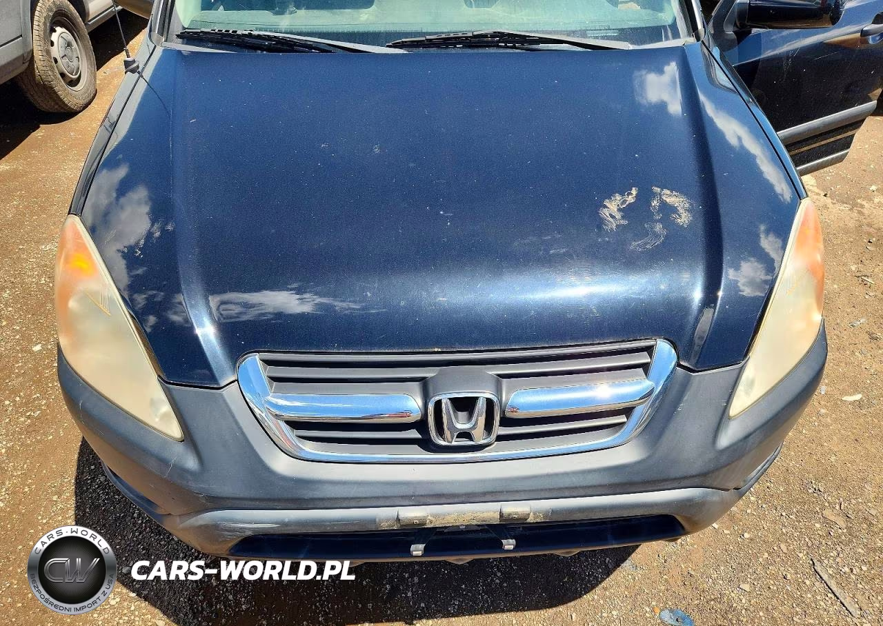 2004 Honda Cr-V Lx VIN:JHLRD78584C007905 - 11