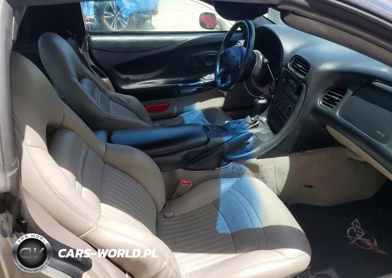 1998 Chevrolet Corvette VIN:1G1YY22G6W5113070 - 10