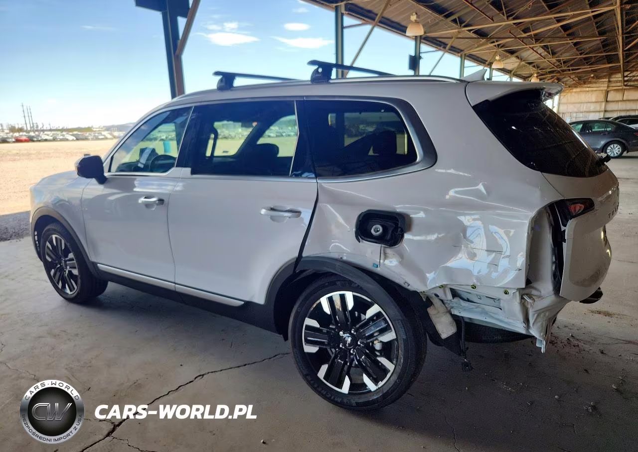 2025 Kia Telluride Sx-Prestige VIN:5XYP5DGC6SG617388 - 2