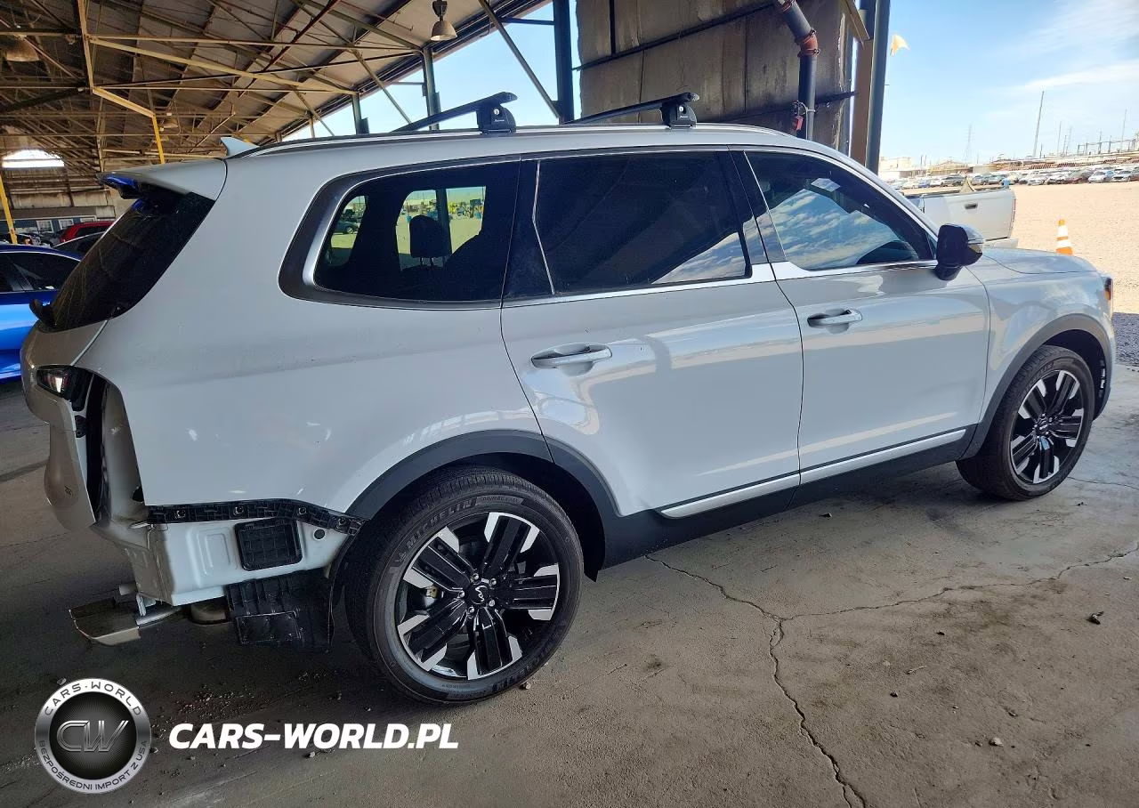 2025 Kia Telluride Sx-Prestige VIN:5XYP5DGC6SG617388 - 3
