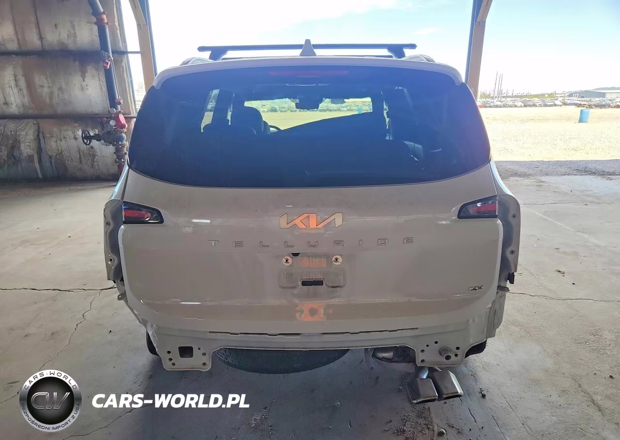 2025 Kia Telluride Sx-Prestige VIN:5XYP5DGC6SG617388 - 6