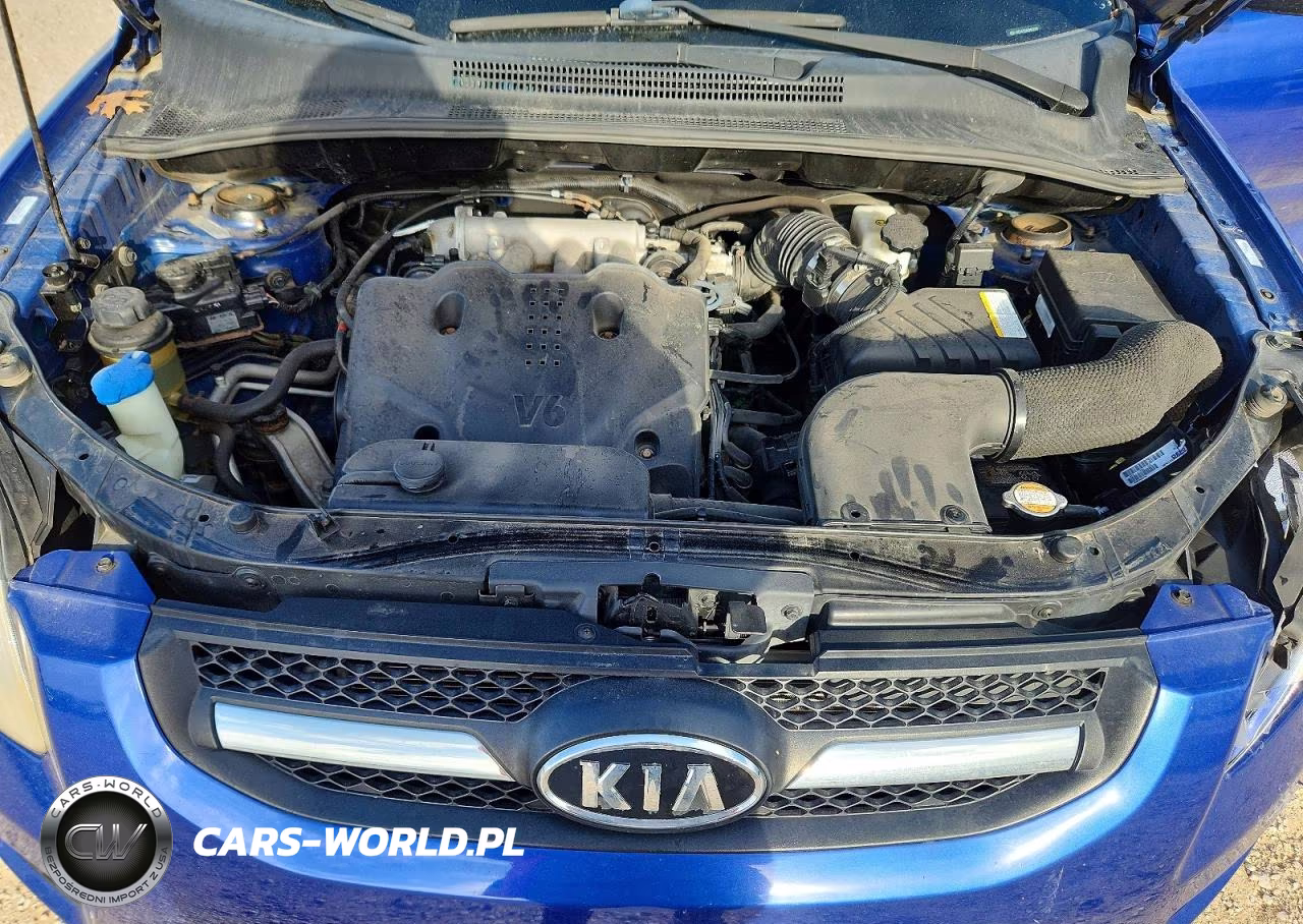 2009 Kia Sportage Lx VIN:KNDJE723197632032 - 12