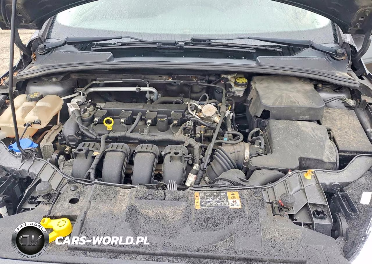 2016 Ford Focus Se VIN:1FADP3F23GL390193 - 11