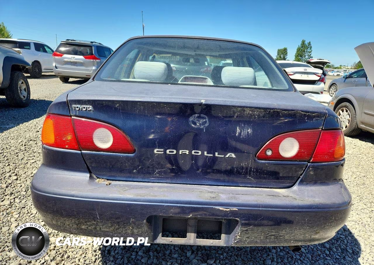 2001 Toyt Corolla VIN:1NXBR12E91Z472345 - 6