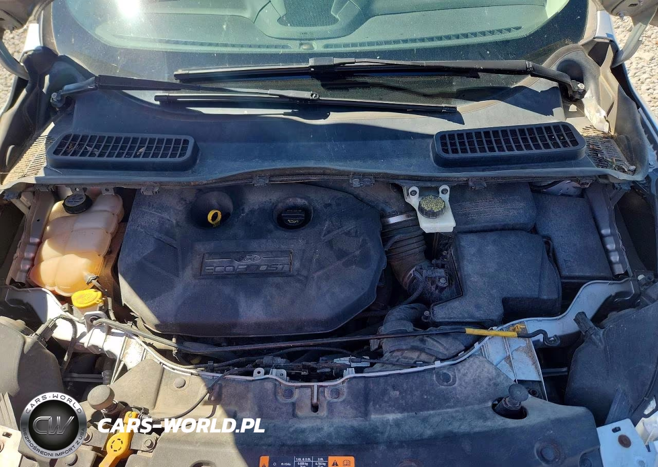 2013 Ford Escape VIN:1FMCU0H91DUC47915 - 11
